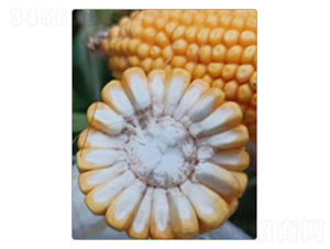 ����812-��������-������ҵ
