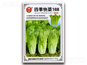 �ļ����168���޲�-���޲�����-ΰ����ҵ