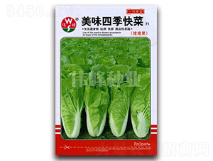 ��ζ�ļ����F1-���޲�����-ΰ����ҵ