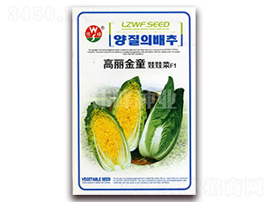 ������ͯ���޲�-���޲�����-ΰ����ҵ