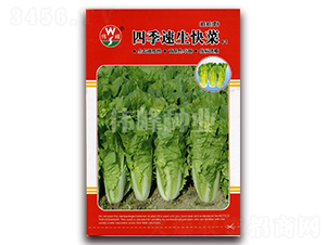 �ļ��������F1-�������-ΰ����ҵ