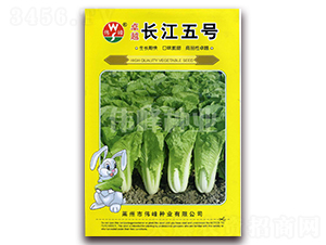 ׿Խ�������-�ײ�����-ΰ����ҵ