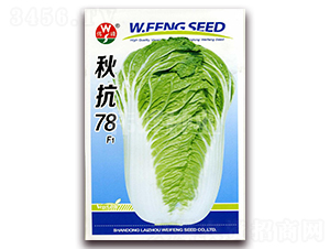 �￹78F1-�ײ�����-ΰ����ҵ