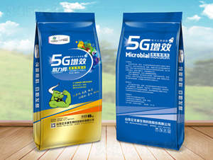 ������΢�������-5G��Ч-����ʩ����