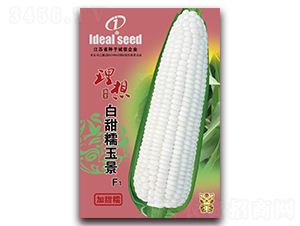 ����Ŵ��-Ŵ��������-����ũҵ