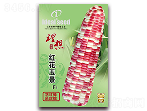 �컨��-Ŵ��������-����ũҵ