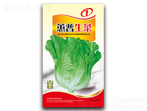 ޥ������-��������-����ũҵ