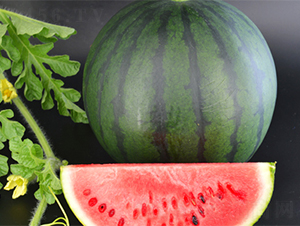 �մ�4��-��������-��������
