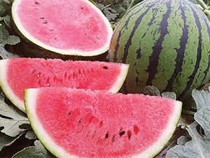 ǿ��711-��������-��������
