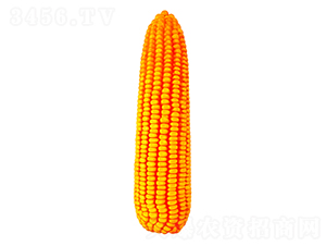����669-��������-������ҵ