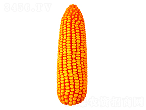 ����818-��������-������ҵ