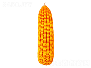 ����358-��������-������ҵ