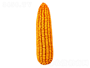 ����58-��������-������ҵ