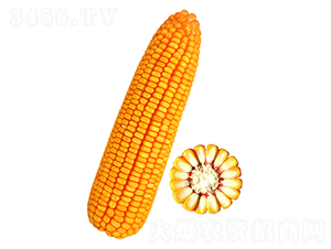 ����30��-��������-������ҵ