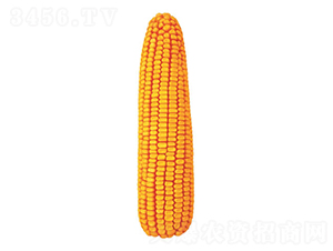 ����27��-��������-������ҵ