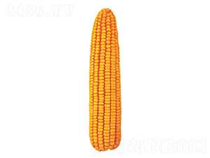 ����15��-��������-������ҵ