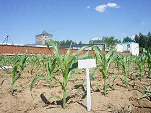 ����368-��������-������ҵ