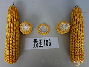 ���106-��������-���