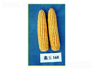 ���168-��������-���