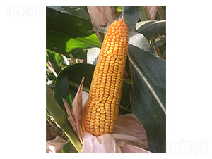 ���133-��������-���