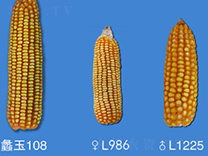 ���108-��������-���