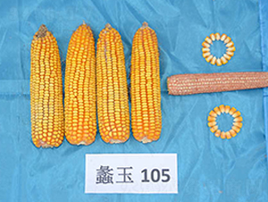 ���105-��������-���