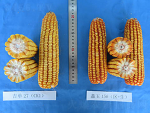 ���156-��������-���