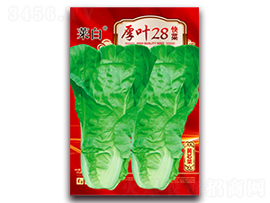 ��Ҷ28���-�������-������ҵ