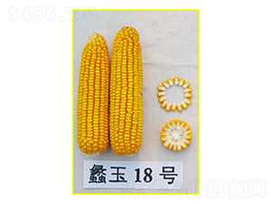 ���18��-��������-���