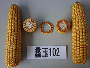 ���102��-��������-���