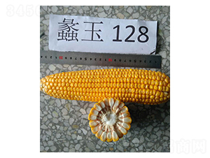 ���128-��������-���
