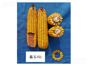 ���151-��������-���