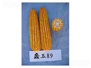 ���89-��������-���