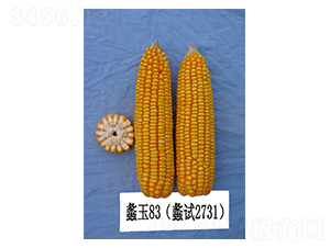 ���83-��������-���