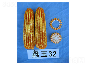 ���32-��������-���