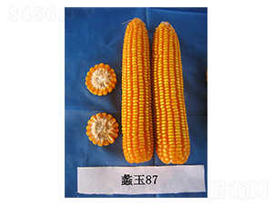 ���87-��������-���