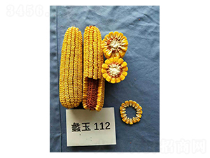 ���112-��������-���