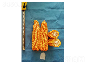 ���136-��������-���