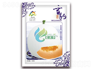 ѩ��-�������-Ľ����