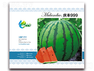 ���999-��������-Ľ����
