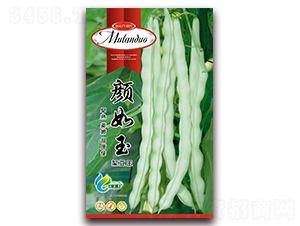 ������ܶ���-�ܶ�����-Ľ����