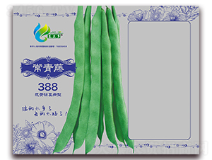������388-�ܶ�����-Ľ����