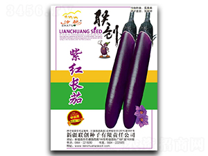 �Ϻ쳤��-��������-����