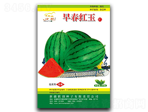 �紺����-��������-����
