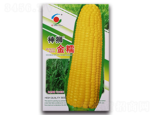 ��ʨ��Ŵ-Ŵ��������-������