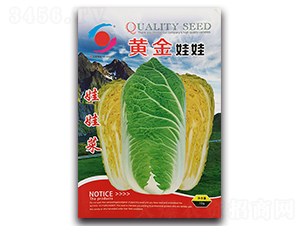 �ƽ�����-���޲�����-������