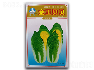 ���񱴱�-���޲�����-������