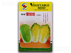 ��ʨ������-���޲�����-������