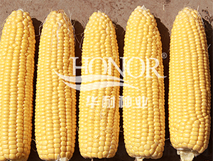 ��ũ��488-��������-������ҵ