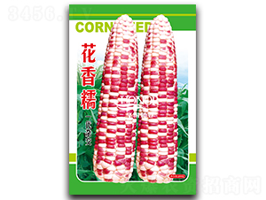 ����Ŵ-��������-������ҵ